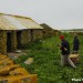 L'arrivée des poules sur l'île
